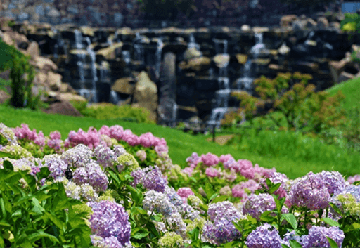 国営讃岐まんのう公園