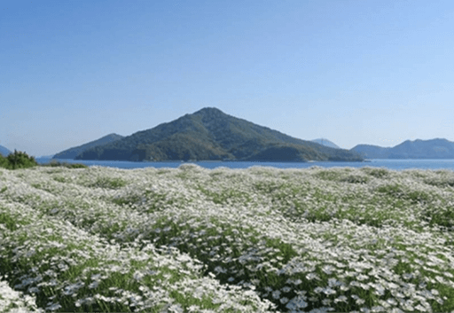 フラワーパーク浦島